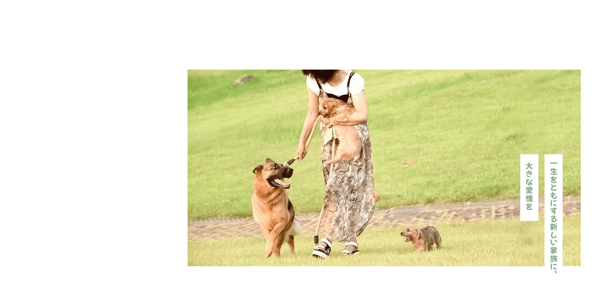 一生をともにする新しい家族に、大きな愛情を